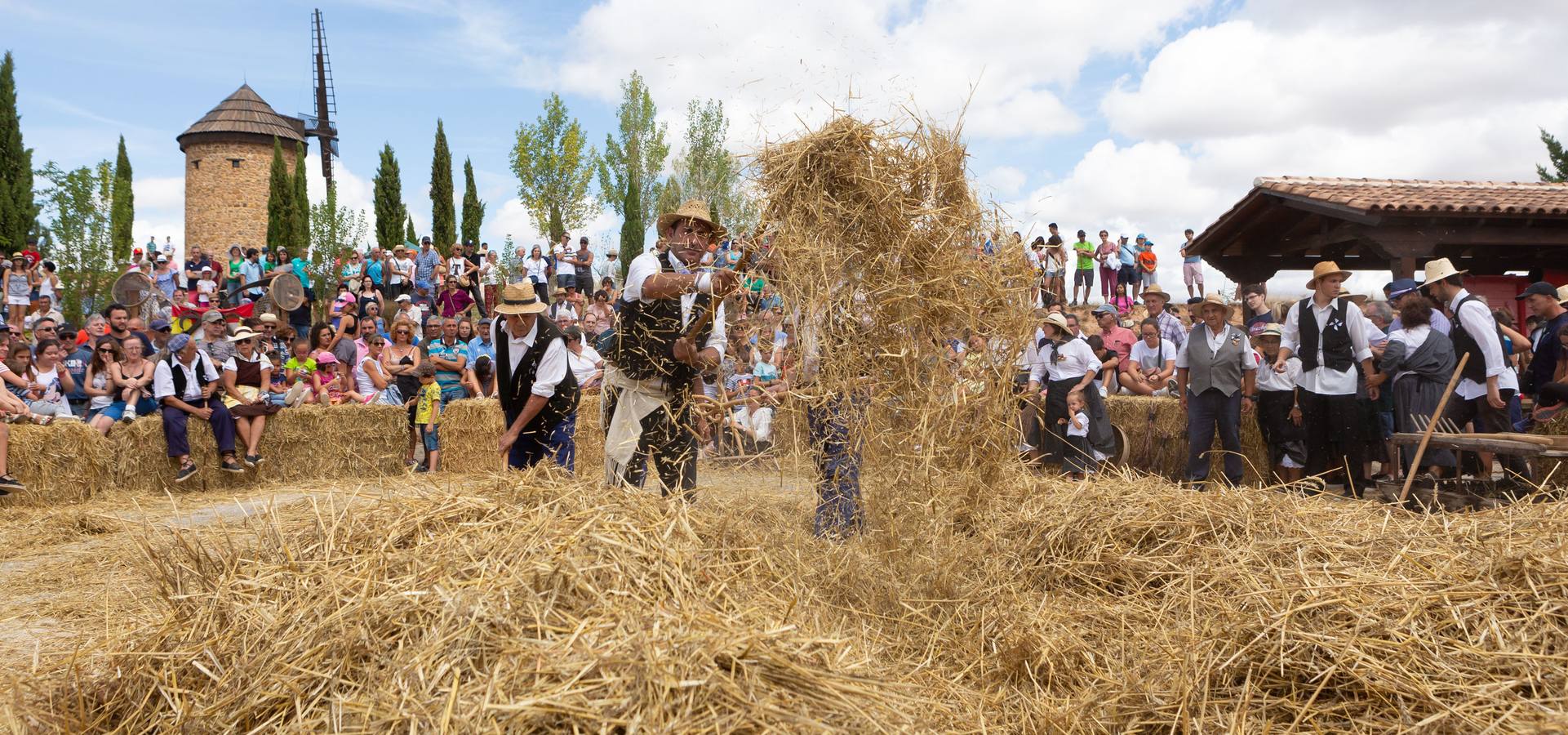 Fotos: Así ha sido la Fiesta de la Molienda