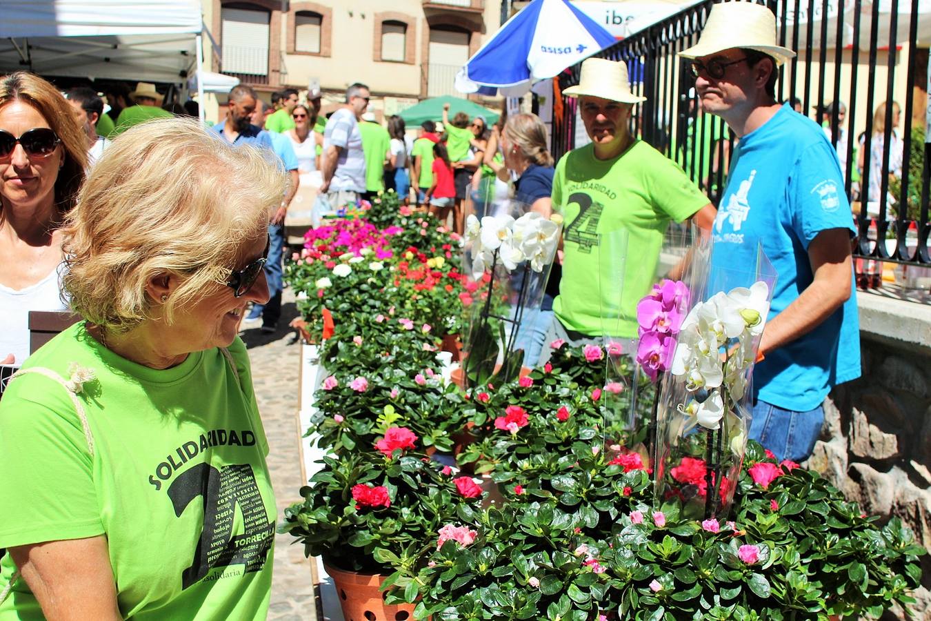 Fotos: XXIV Fiesta de la Solidaridad de Torrecilla en Cameros