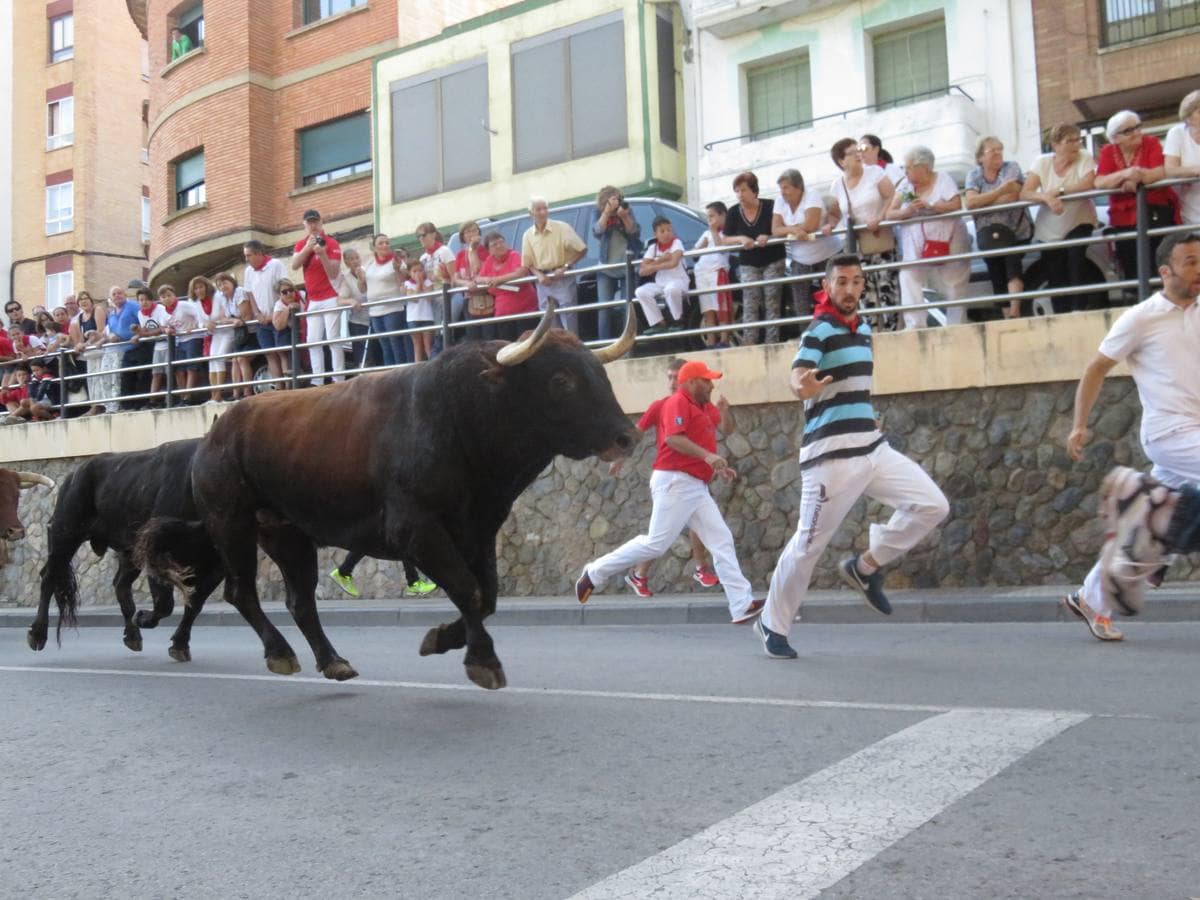 Fotos: Alfaro llega al ecuador de sus fiestas de San Roque y San Ezequiel