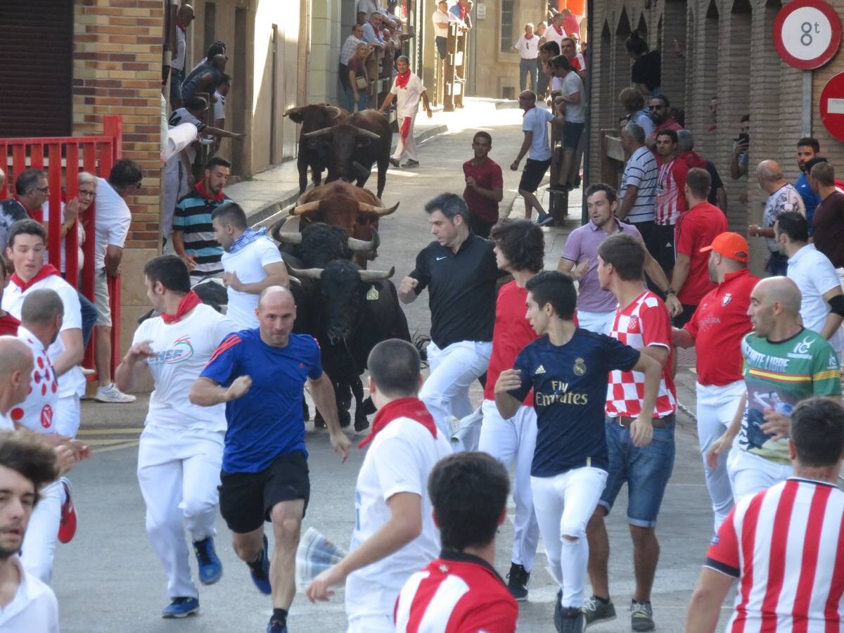 Fotos: Alfaro llega al ecuador de sus fiestas de San Roque y San Ezequiel