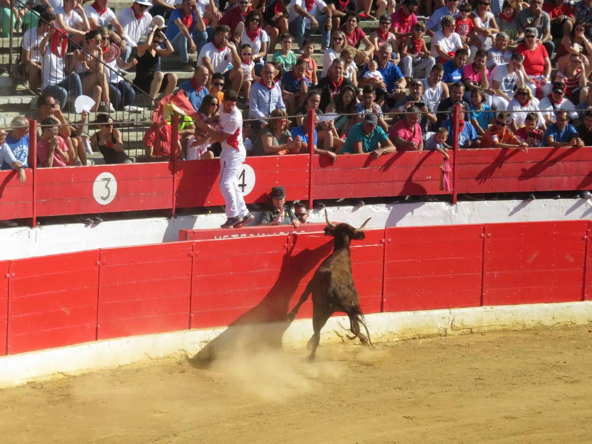 Fotos: Alfaro llega al ecuador de sus fiestas de San Roque y San Ezequiel