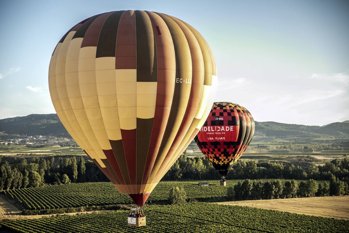 Fotos: Regata de globos aerostáticos en Haro y su comarca