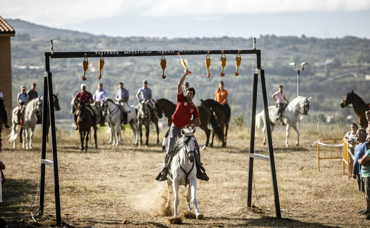 Enrique del Río durante uno de sus aciertos en el concurso de gallos de Nalda.