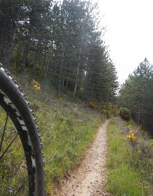 Imagen secundaria 2 - Camino de subida en Nalda, restos de un dolmen y senda de La Leñosa 