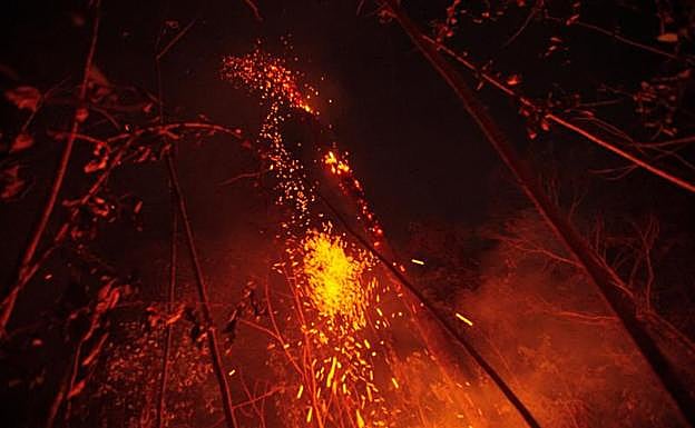 Dieciocho millones de euros para combatir los incendios de la Amazonía