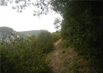 Imagen secundaria 1 - Vista del embalse González Lacasa, sendero de Ambrigüelas y camino junto a la Peña Zapatero