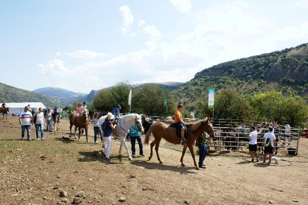 La Feria Ganadera de las 7 Villas animó Mansilla