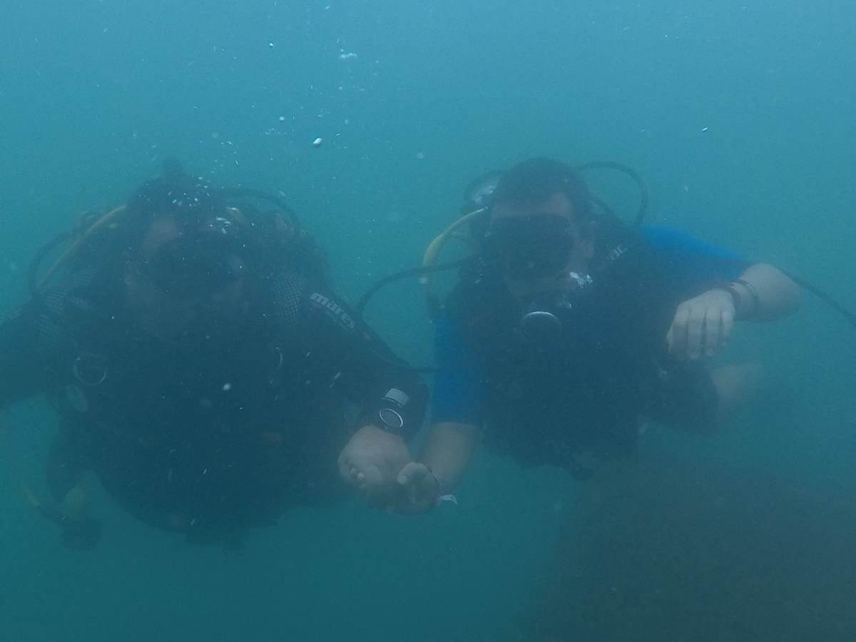 Fotos: Jornada de buceo inclusivo