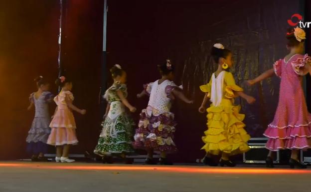 Cenicero baila al son de flamenco