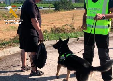 Imagen secundaria 1 - Imágenes de diferentes actuaciones de este verano.