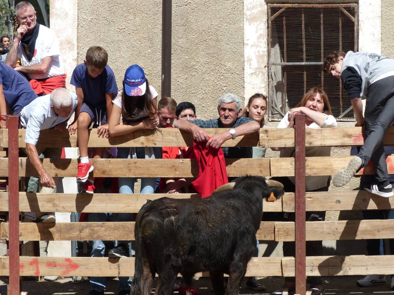 Fotos: Torrecilla honra a la Virgen de Tómalos