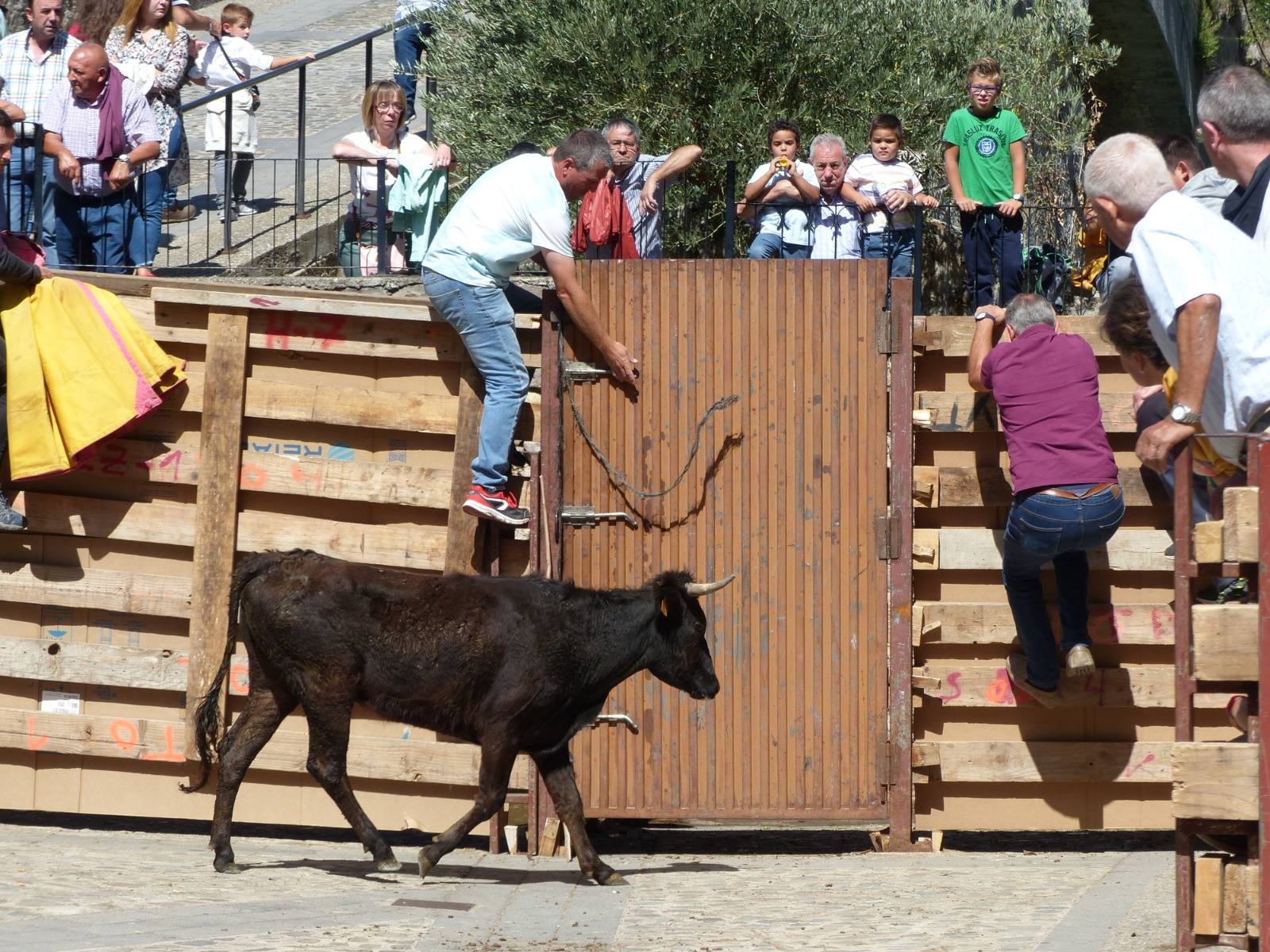 Fotos: Torrecilla honra a la Virgen de Tómalos