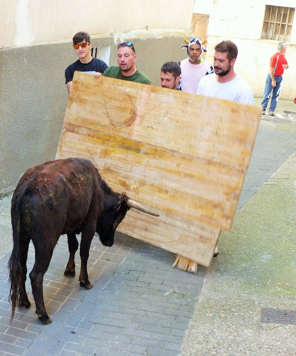 Fotos: Torrecilla honra a la Virgen de Tómalos