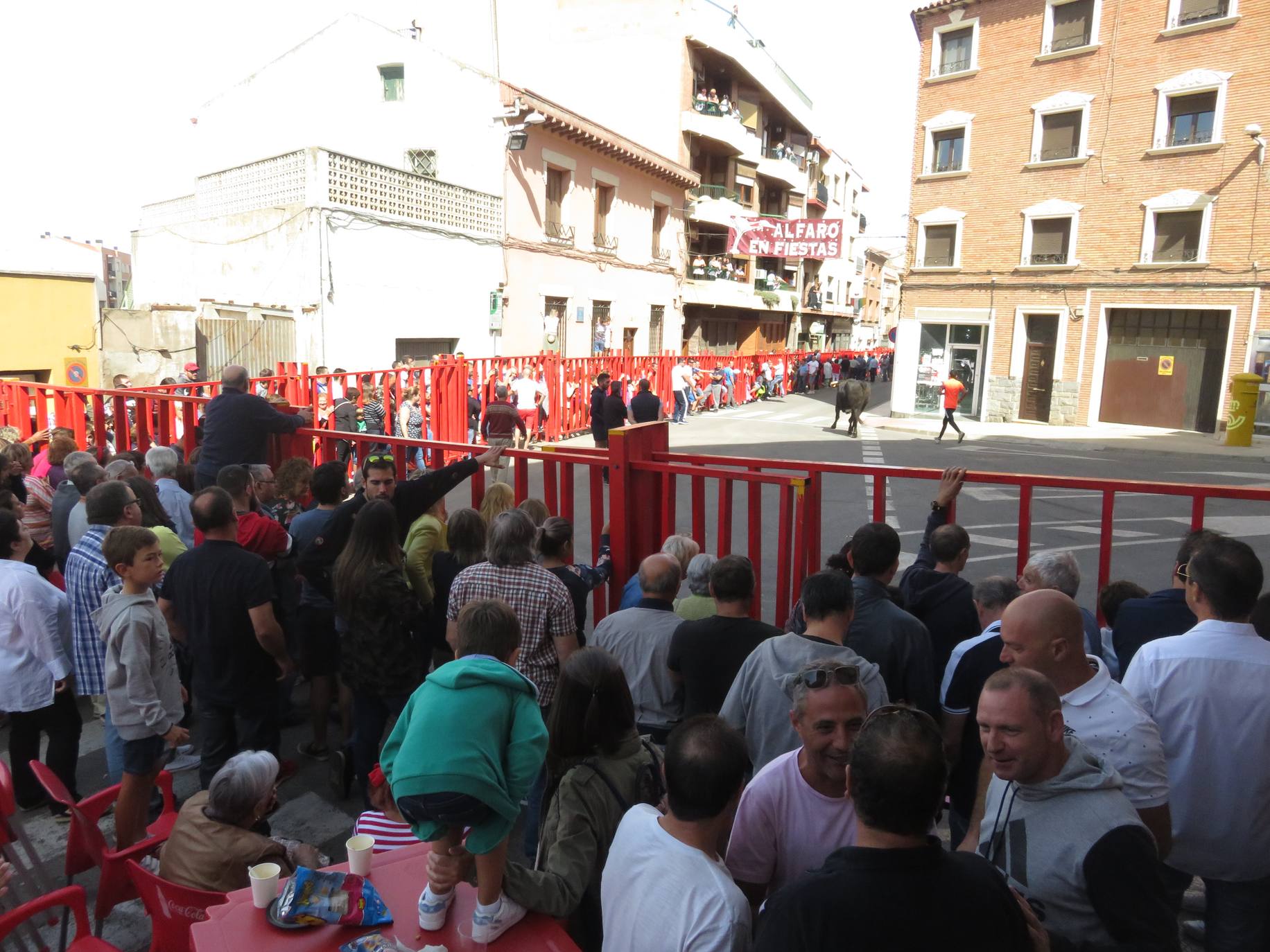 Fotos: Encierro limpio en el cuarto día de fiestas en Alfaro
