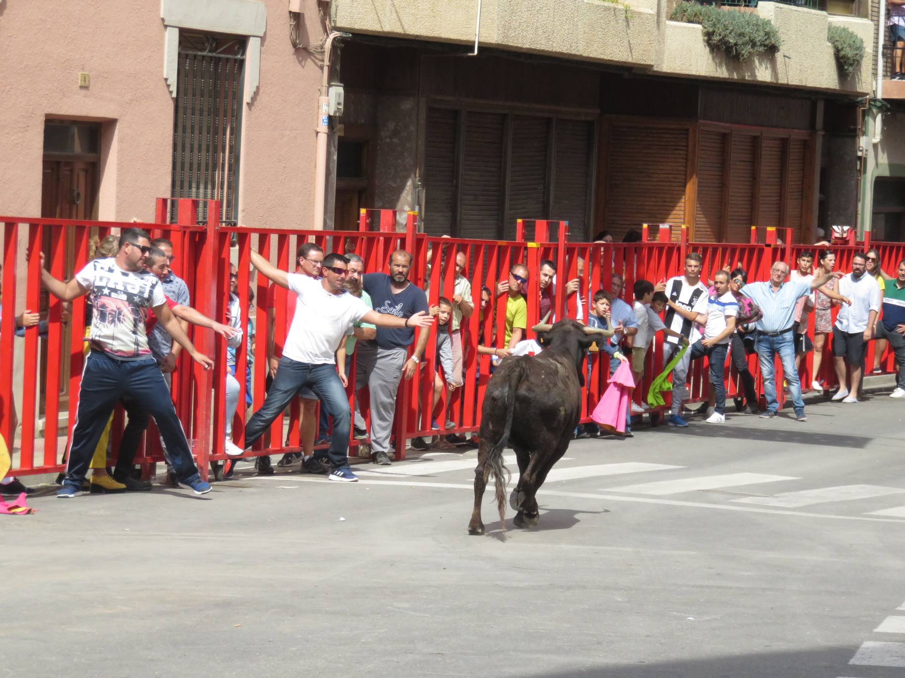 Fotos: Encierro limpio en el cuarto día de fiestas en Alfaro