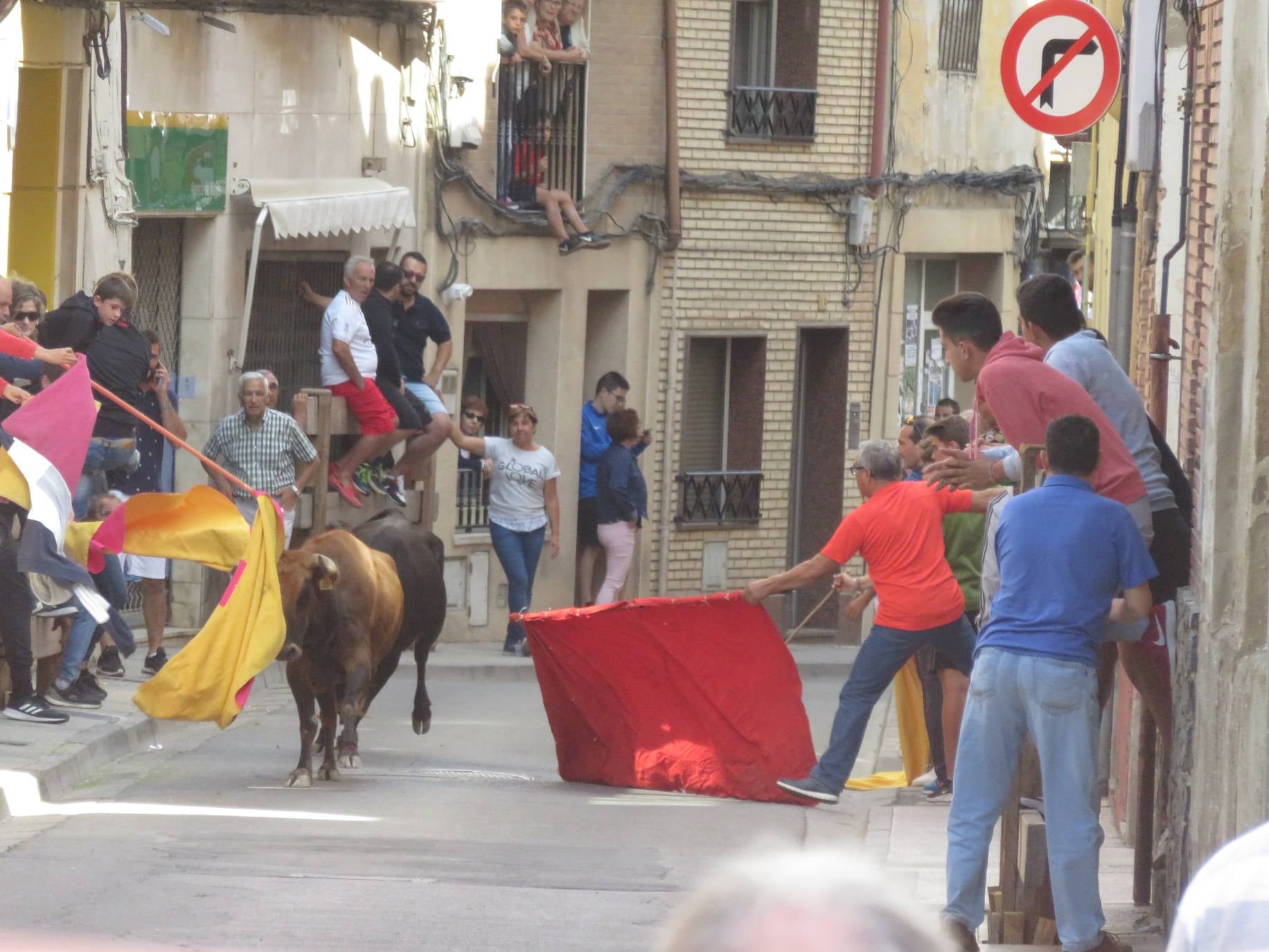 Fotos: Encierro limpio en el cuarto día de fiestas en Alfaro