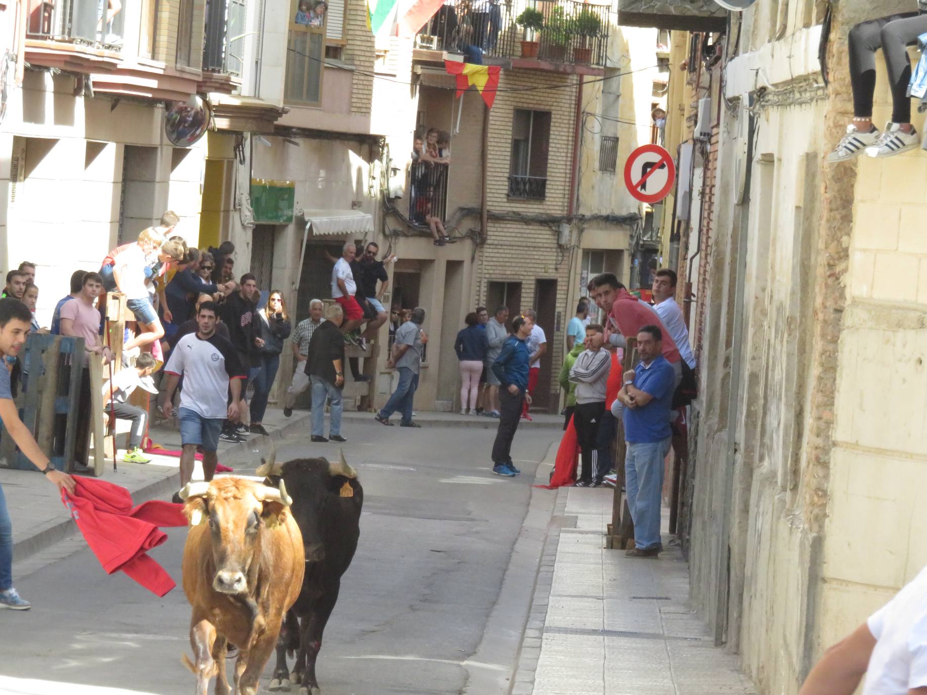 Fotos: Encierro limpio en el cuarto día de fiestas en Alfaro