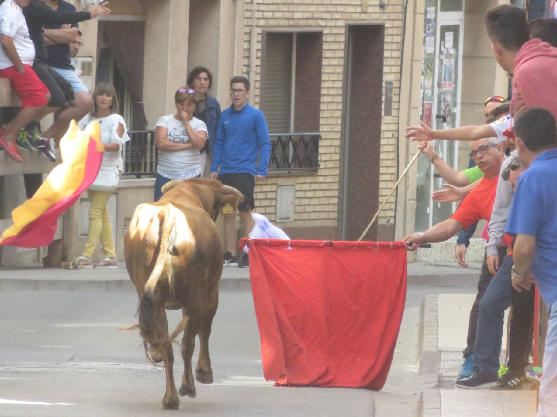 Fotos: Encierro limpio en el cuarto día de fiestas en Alfaro
