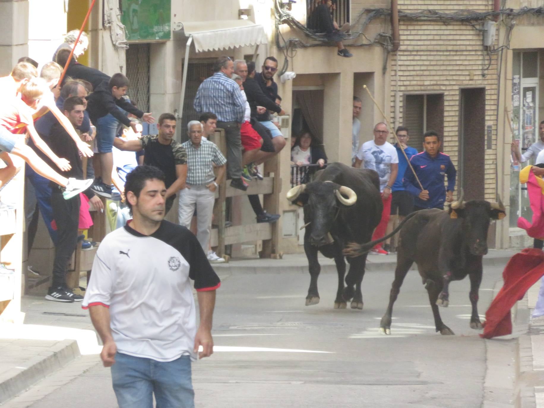 Fotos: Encierro limpio en el cuarto día de fiestas en Alfaro