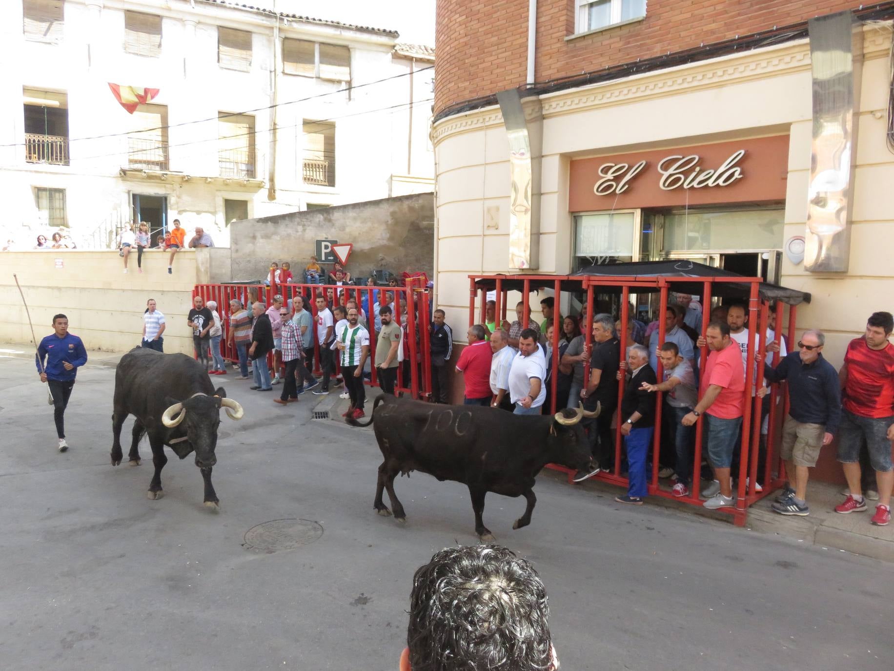 Fotos: Encierro limpio en el cuarto día de fiestas en Alfaro