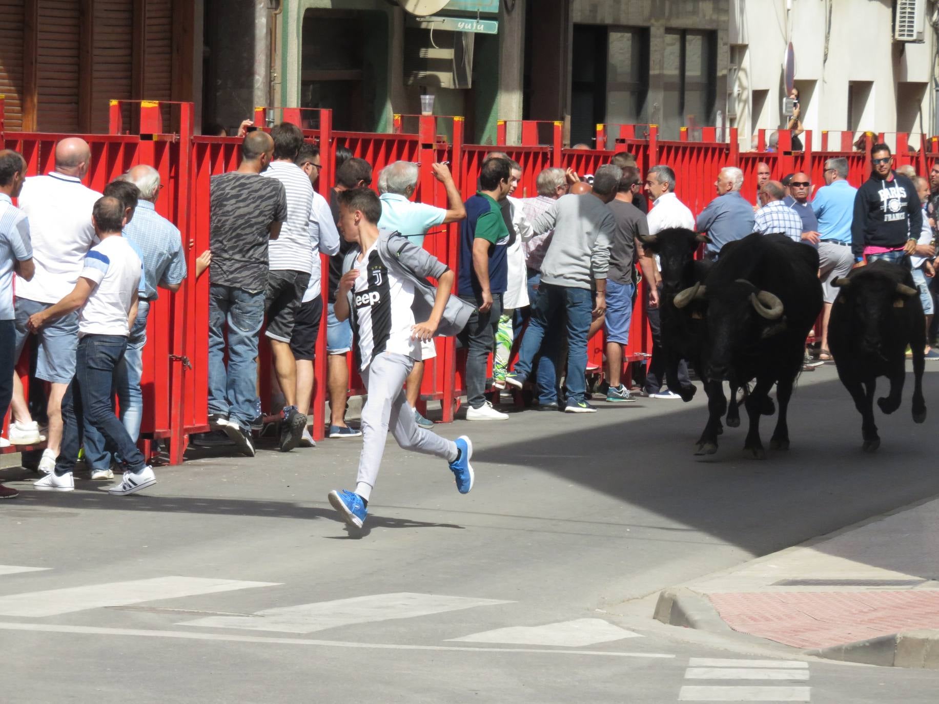 Fotos: Encierro limpio en el cuarto día de fiestas en Alfaro