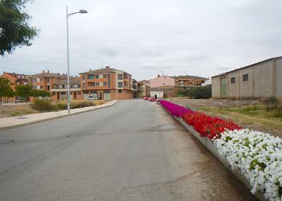 Imagen secundaria 1 - La Maja y parque eólico de Raposeras, camino junto a la yasa de Majillonda y entrada a Pradejón