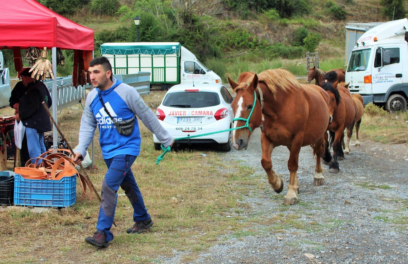 Fotos: XXIII edición de la Feria de Ganado en Villoslada