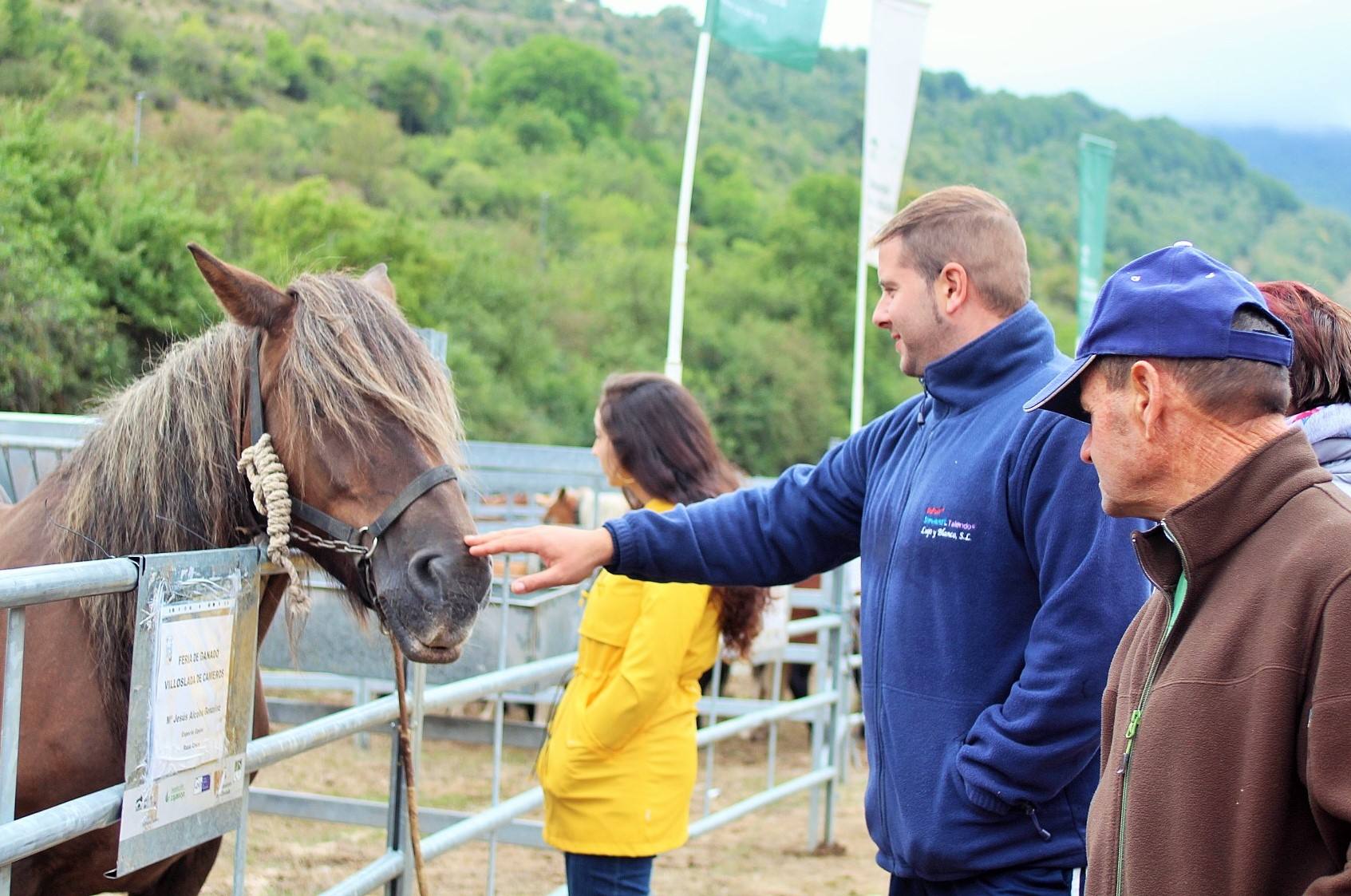 Fotos: XXIII edición de la Feria de Ganado en Villoslada