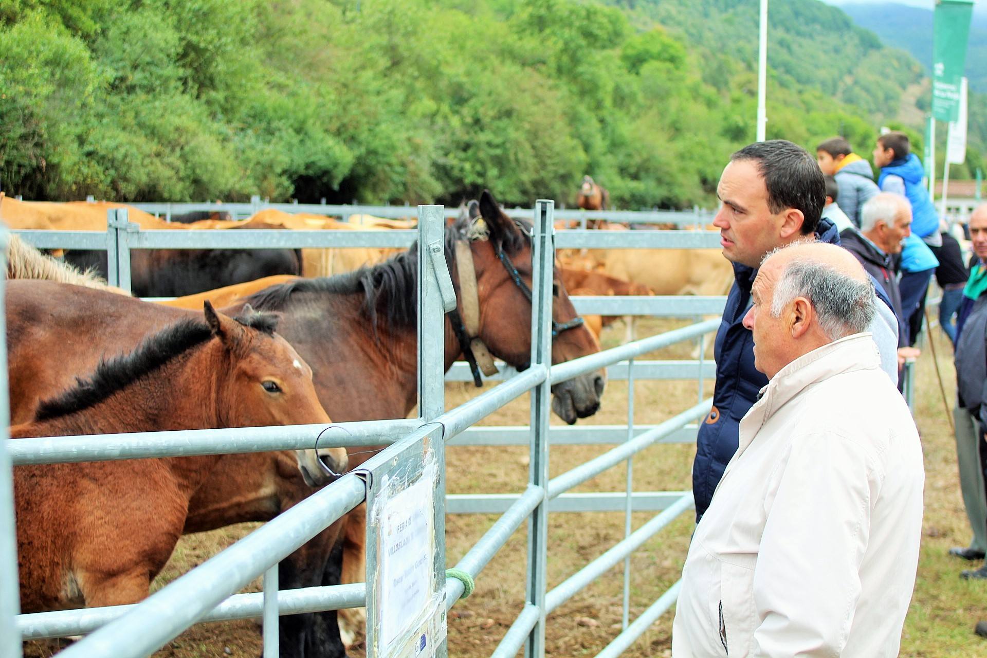 Fotos: XXIII edición de la Feria de Ganado en Villoslada