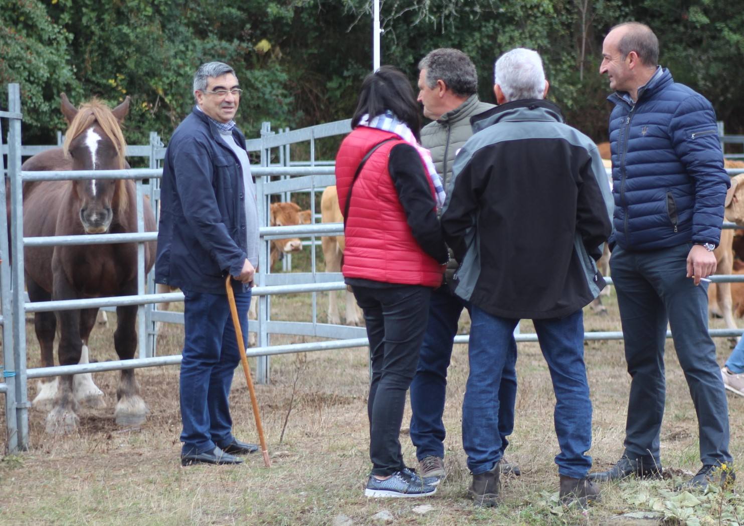 Fotos: XXIII edición de la Feria de Ganado en Villoslada