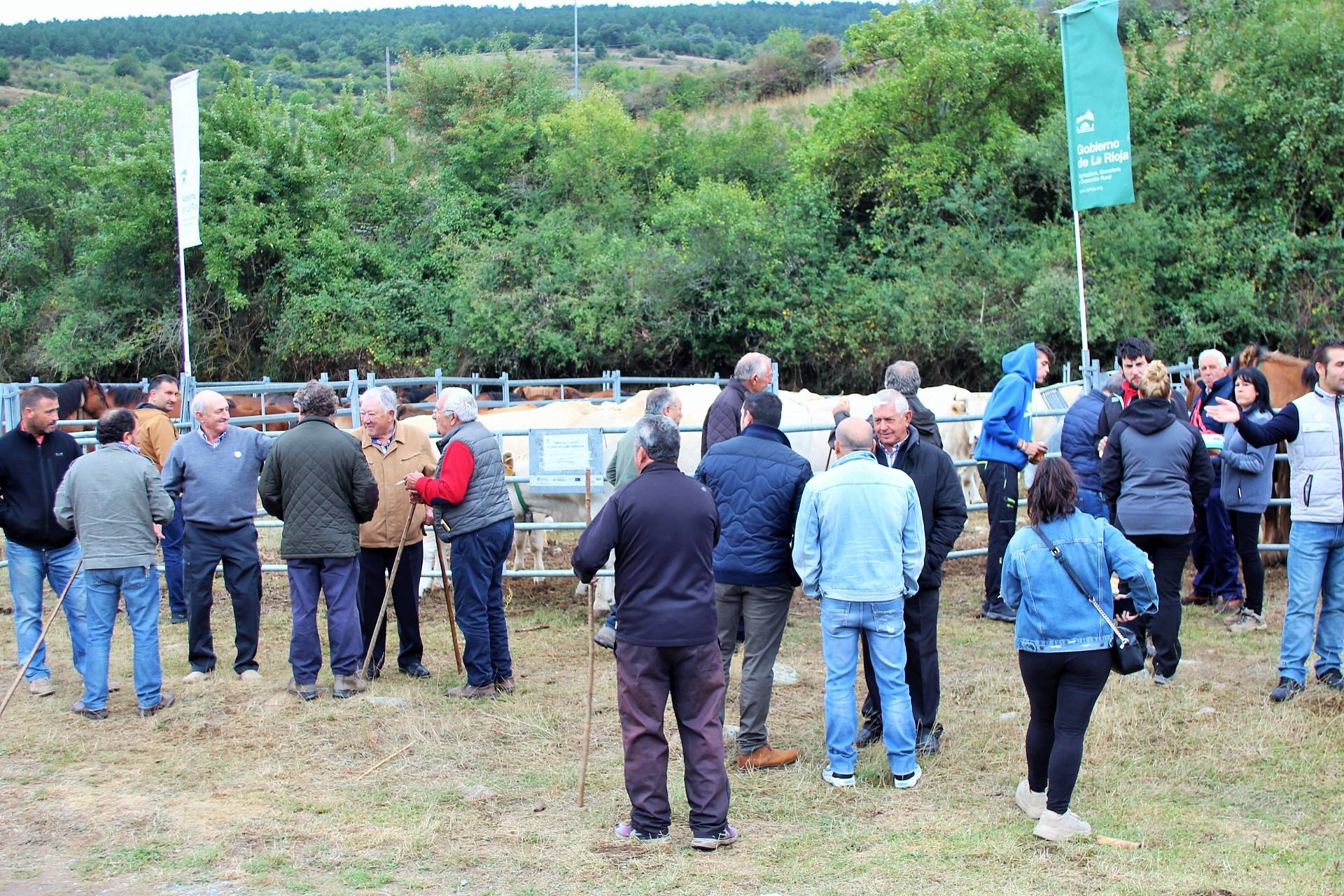 Fotos: XXIII edición de la Feria de Ganado en Villoslada