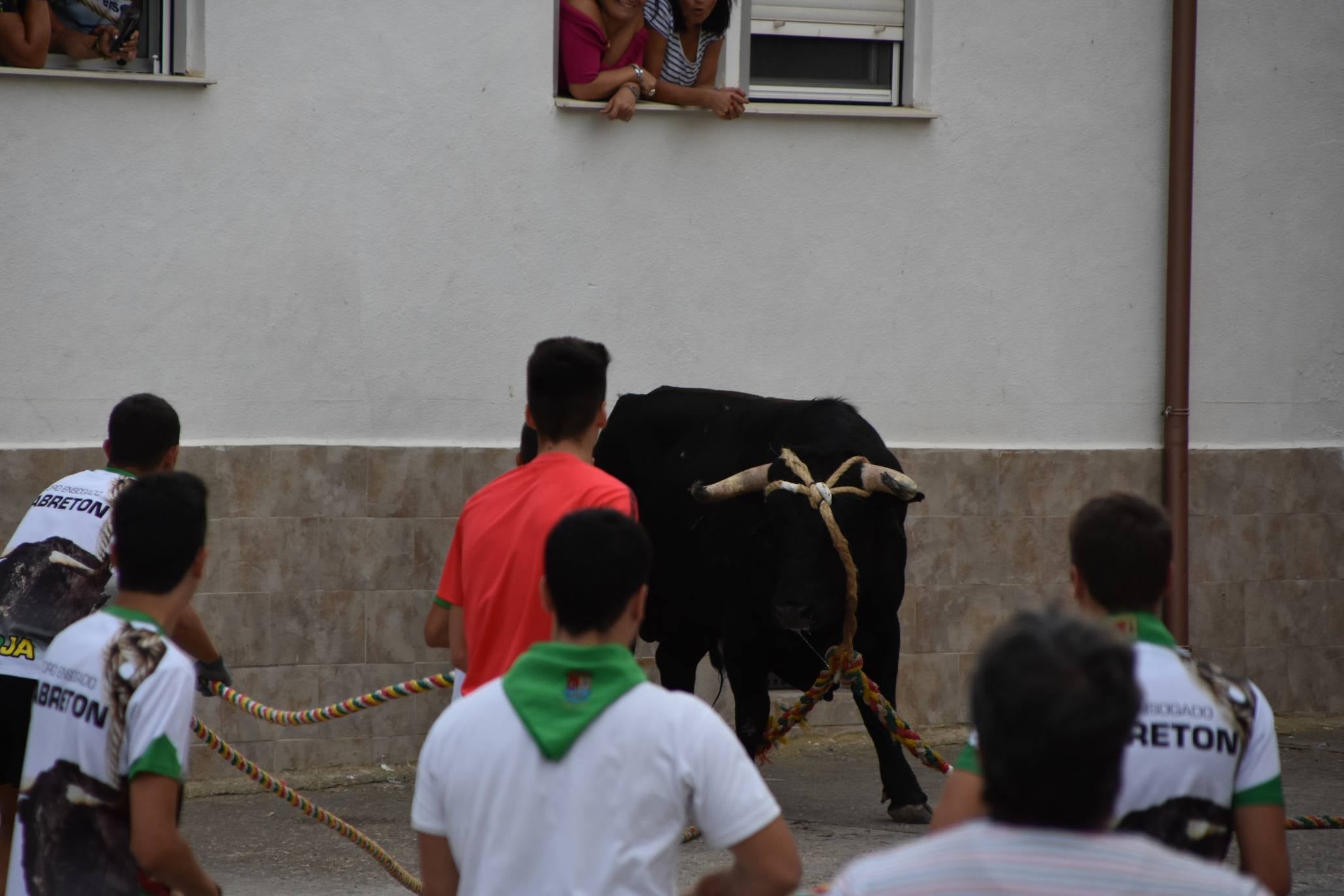 Fotos: Suelta de toros ensogados en Cabretón