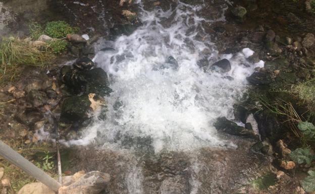 Imagen del río Alhama a su paso por Alfaro