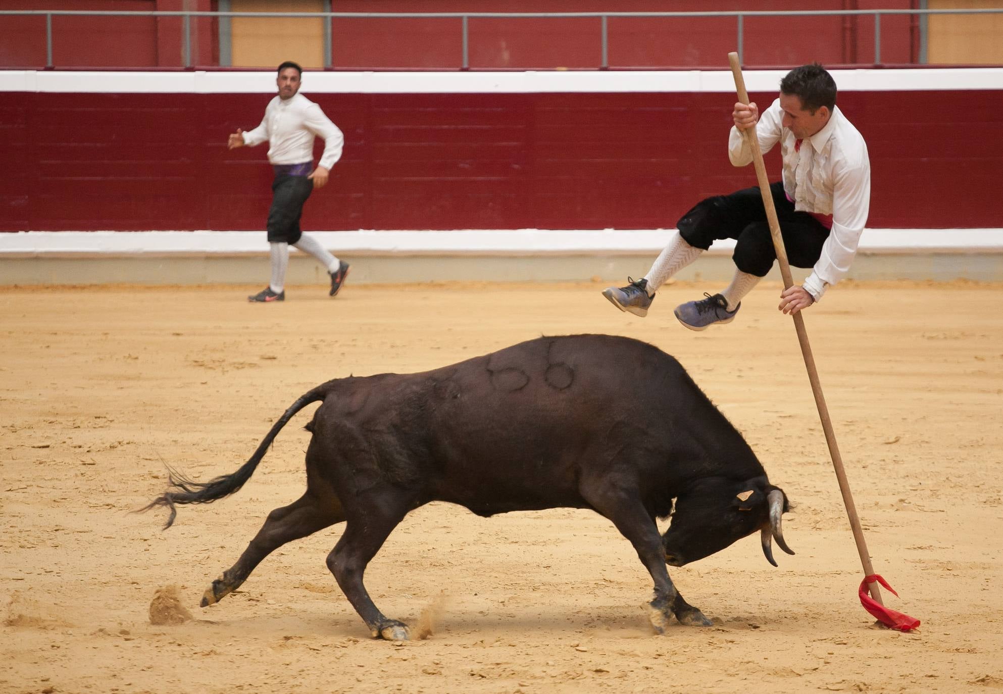 Fotos: Primer día de vaquillas