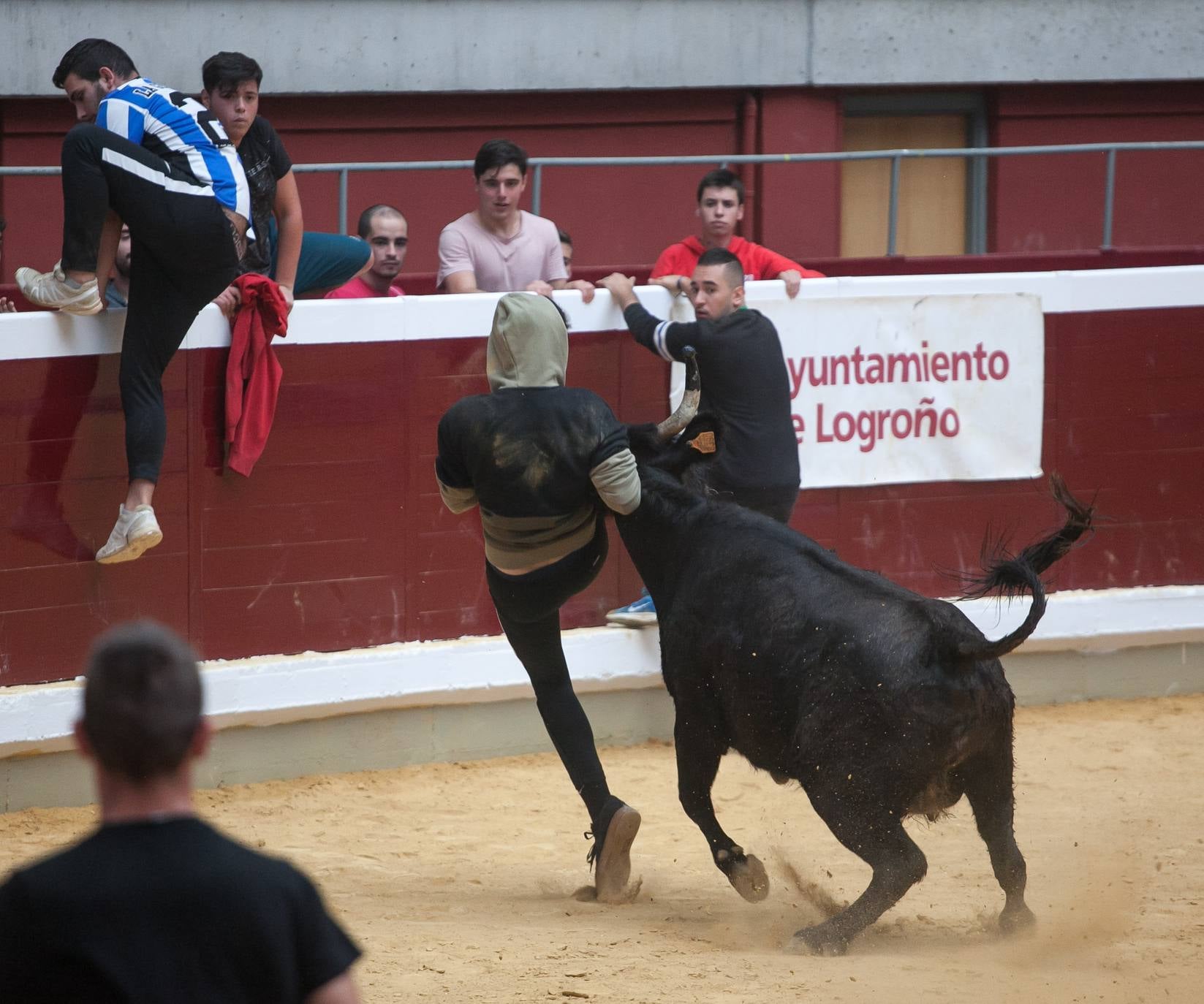 Fotos: Primer día de vaquillas