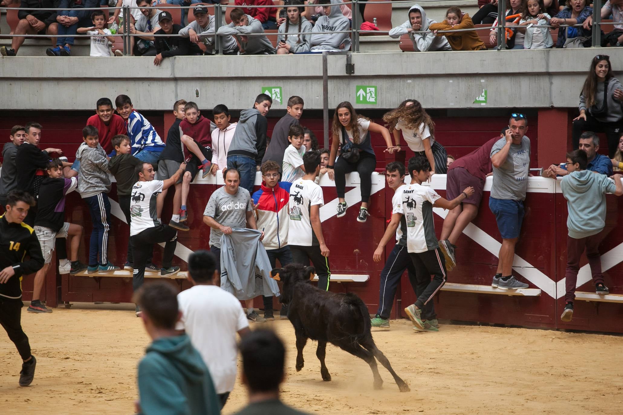 Fotos: Primer día de vaquillas