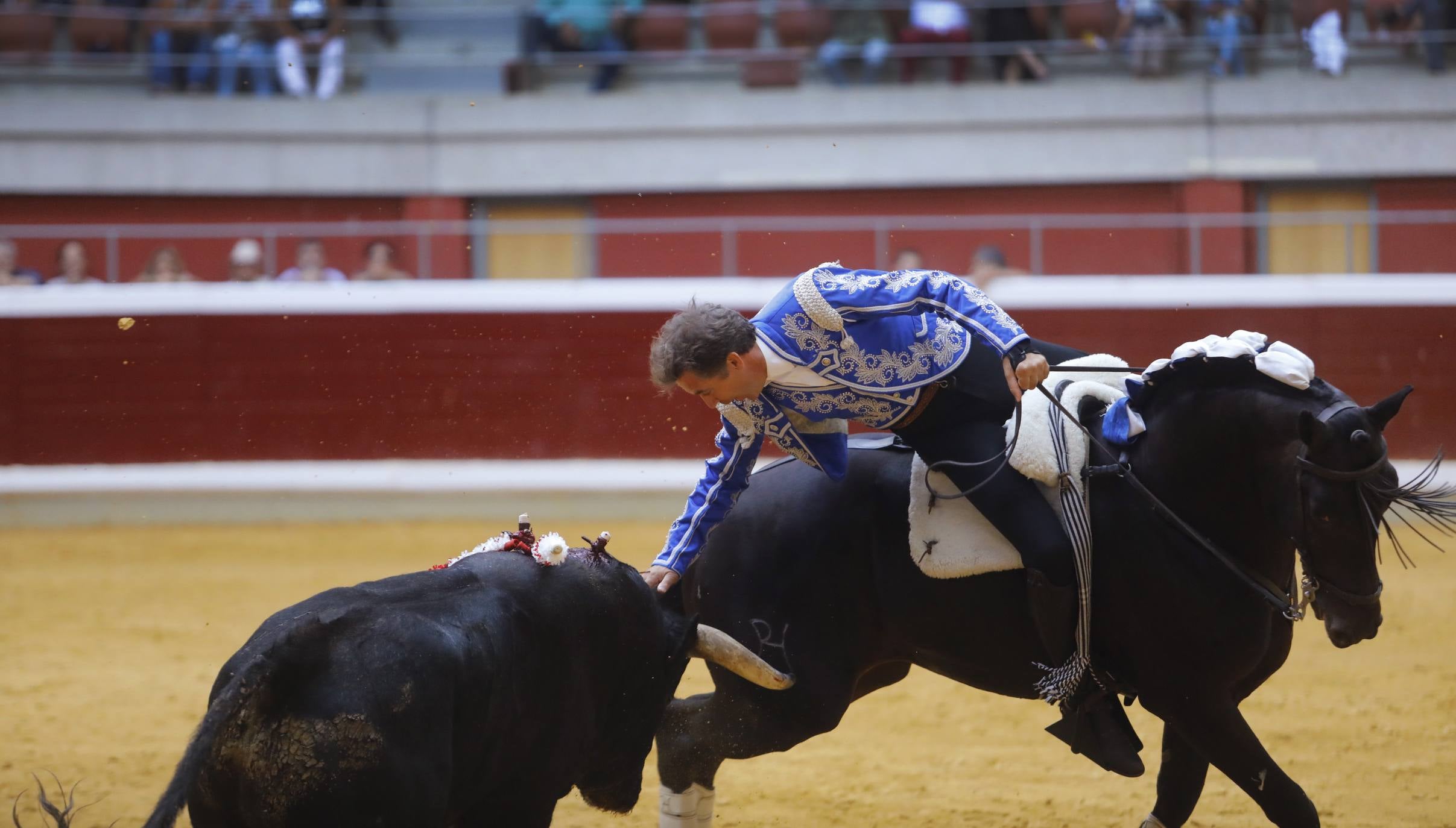 Fotos: Toros en san Mateo: el domingo