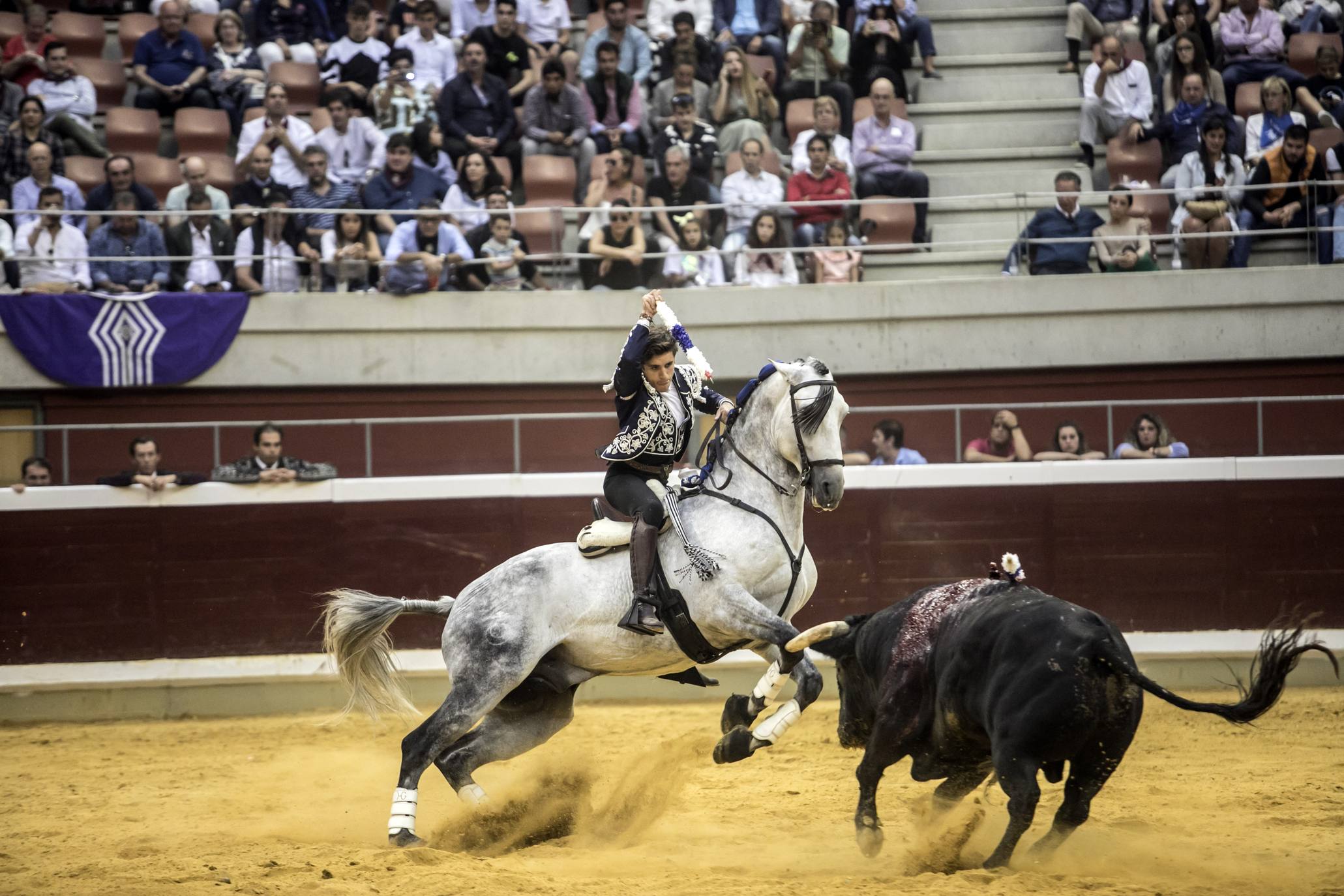 Fotos: Toros en san Mateo: el domingo