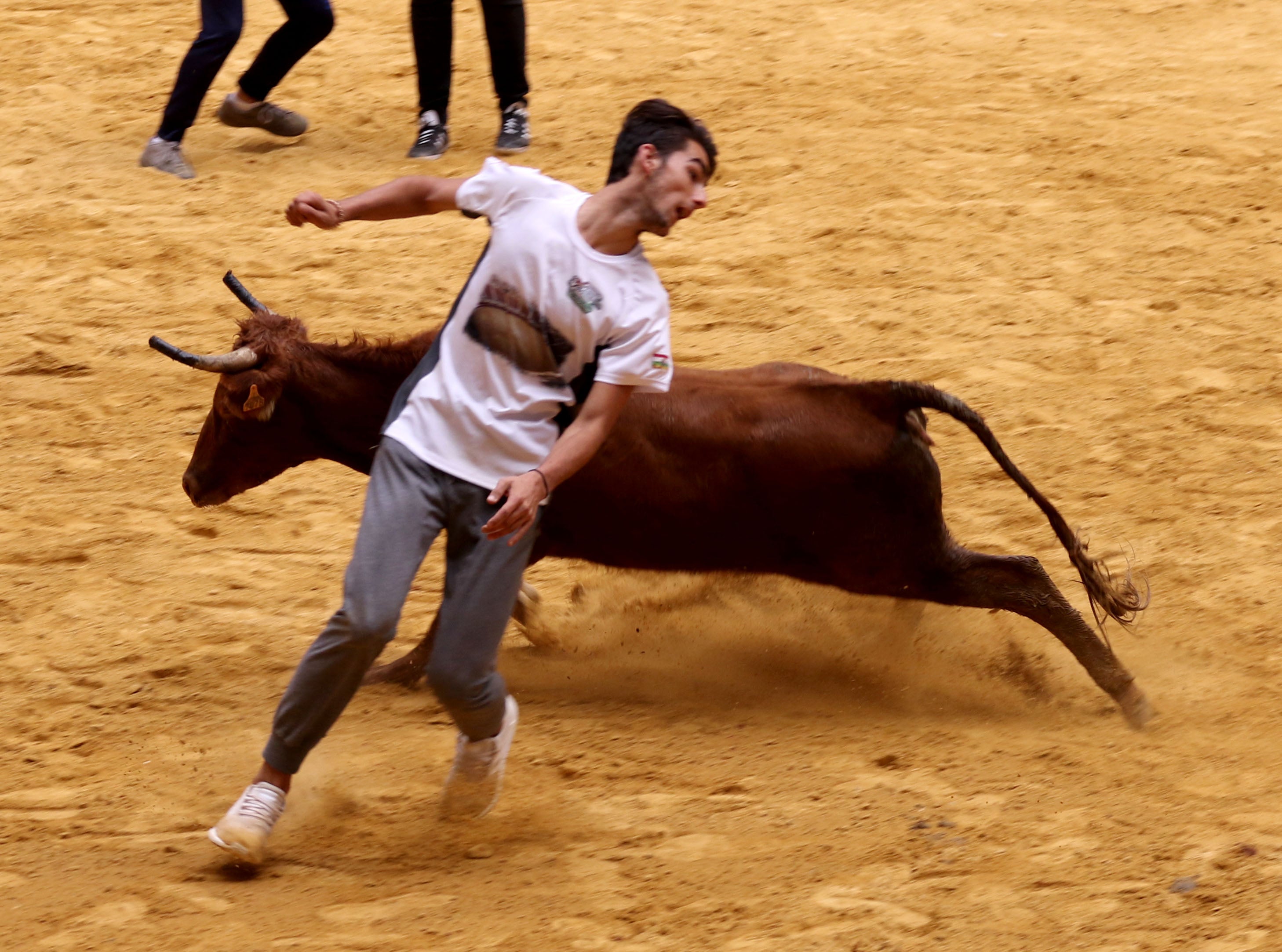 Fotos: Volteretas y un susto en las vaquillas