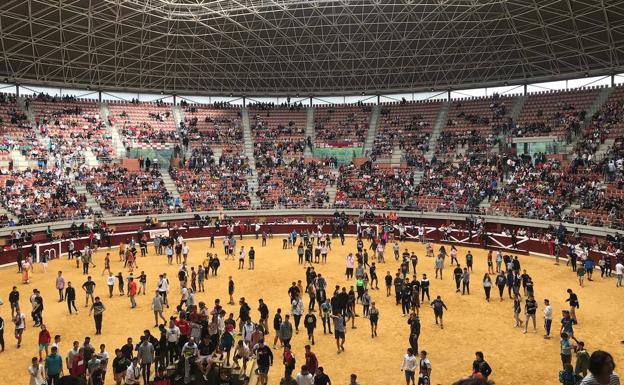 Al término de las vaquillas, se abren los accesos a la arena para que los más pequeños disfruten de una vaquilla muy especial: un becerro pequeño