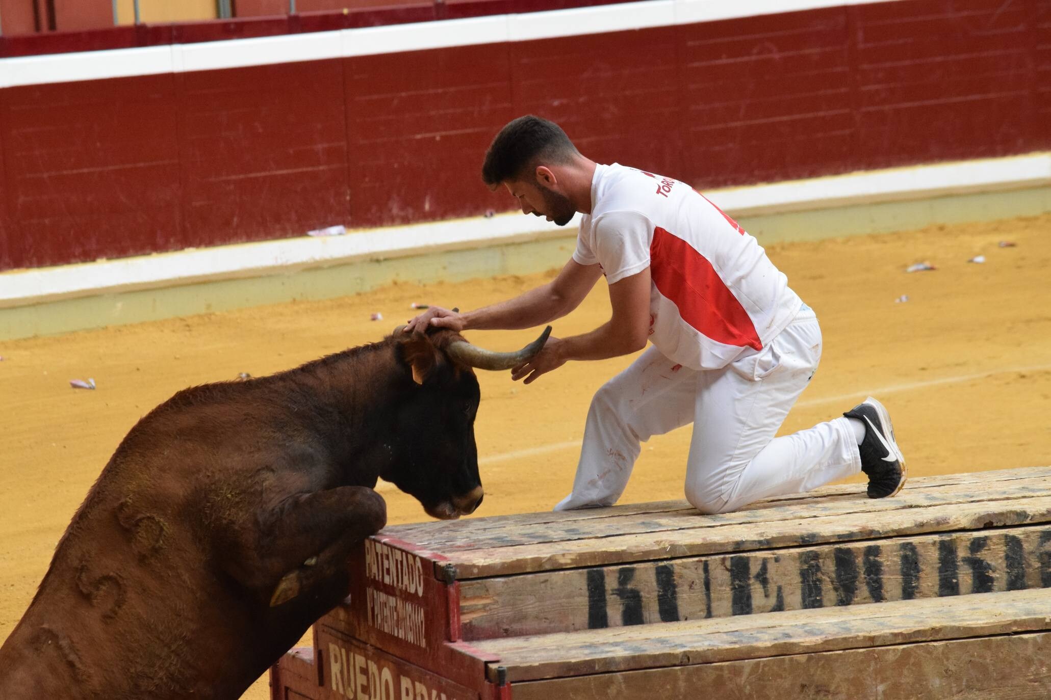 Miércoles de vaquillas en La Ribera