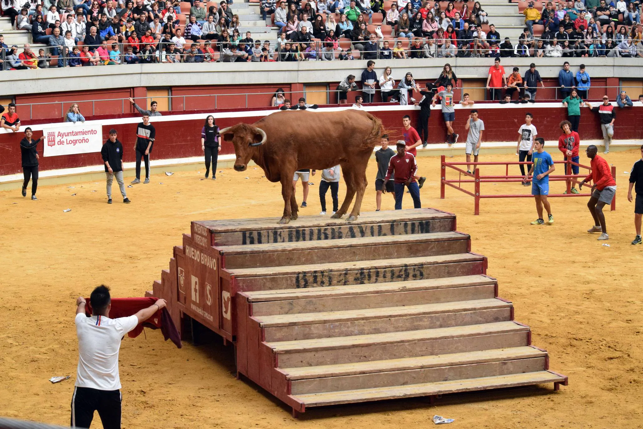 Miércoles de vaquillas en La Ribera