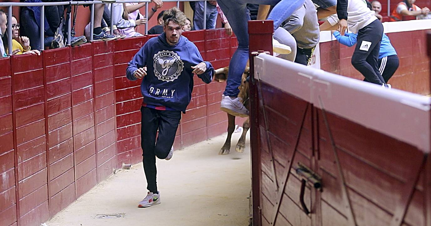 Como cada mañana, el martes la Plaza de Toros de La Ribera estaba llena.