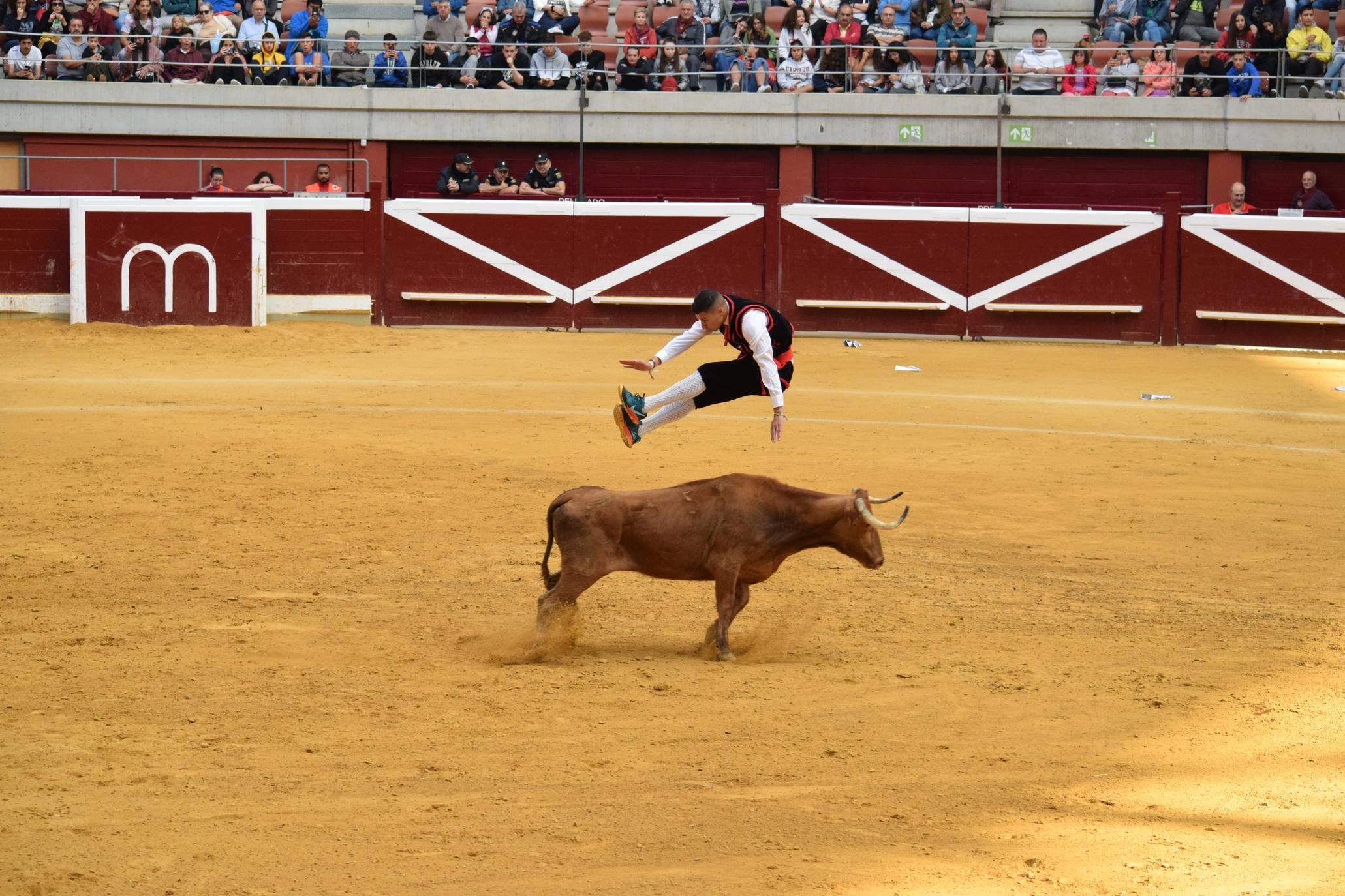 Fotos: Jueves de vaquillas en La Ribera