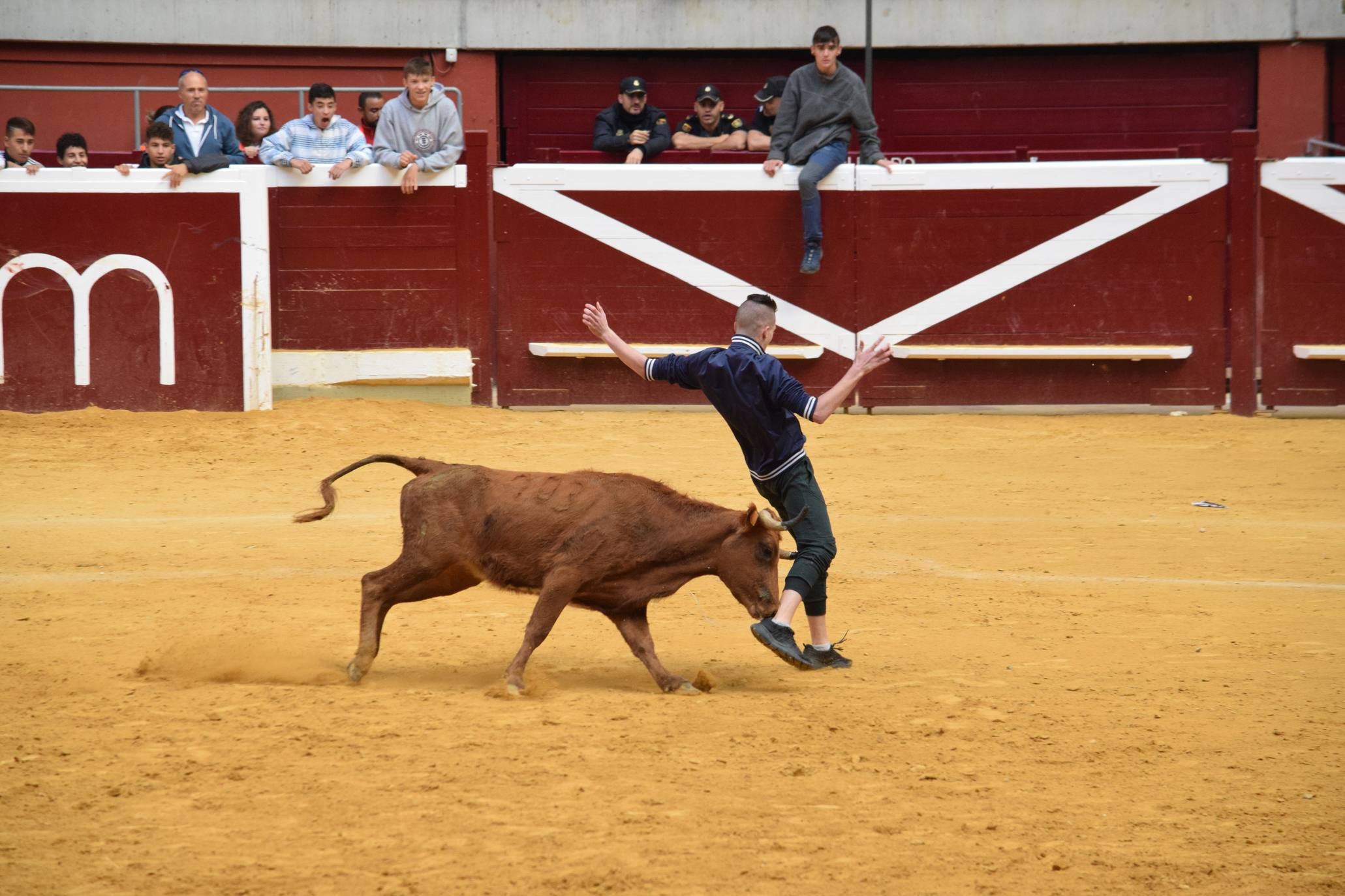 Fotos: Jueves de vaquillas en La Ribera