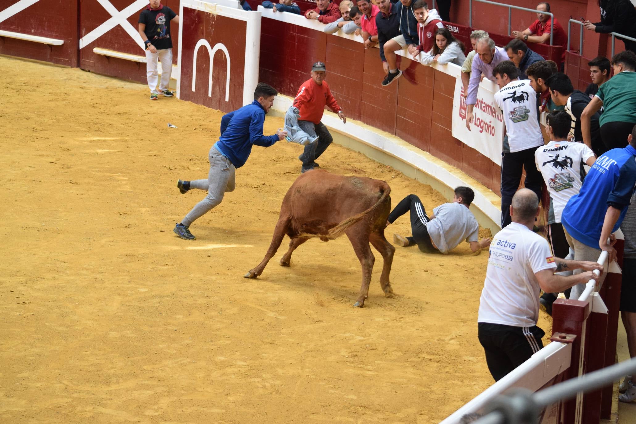 Fotos: Jueves de vaquillas en La Ribera