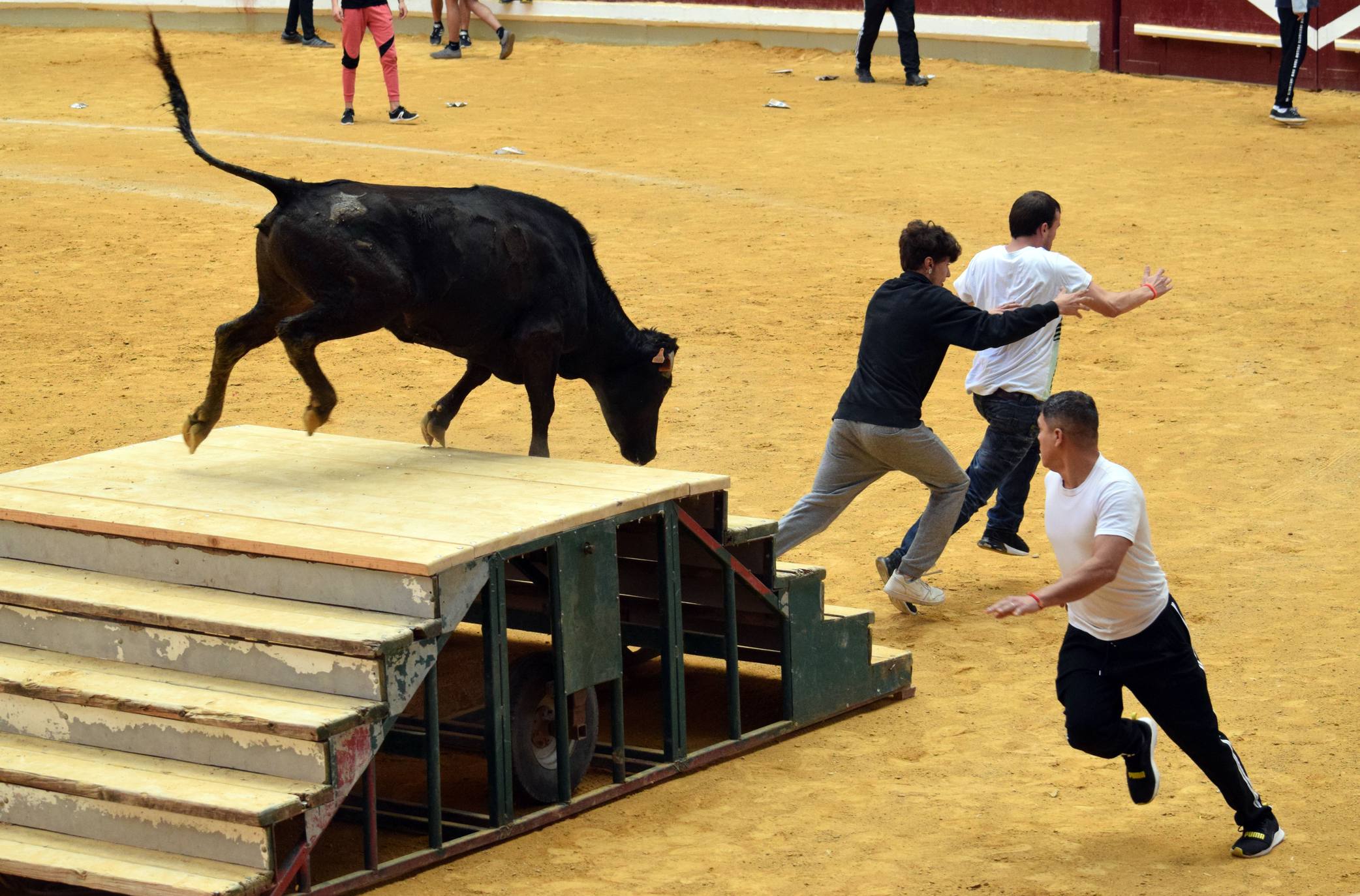Fotos: Jueves de vaquillas en La Ribera