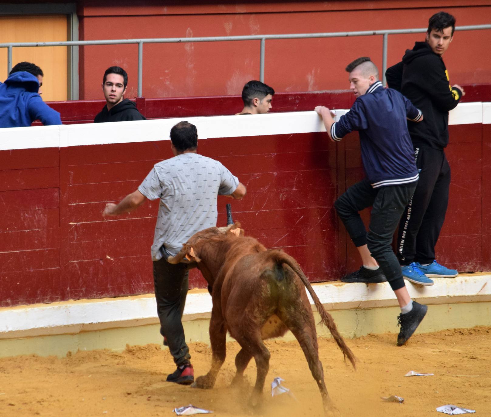 Fotos: Jueves de vaquillas en La Ribera