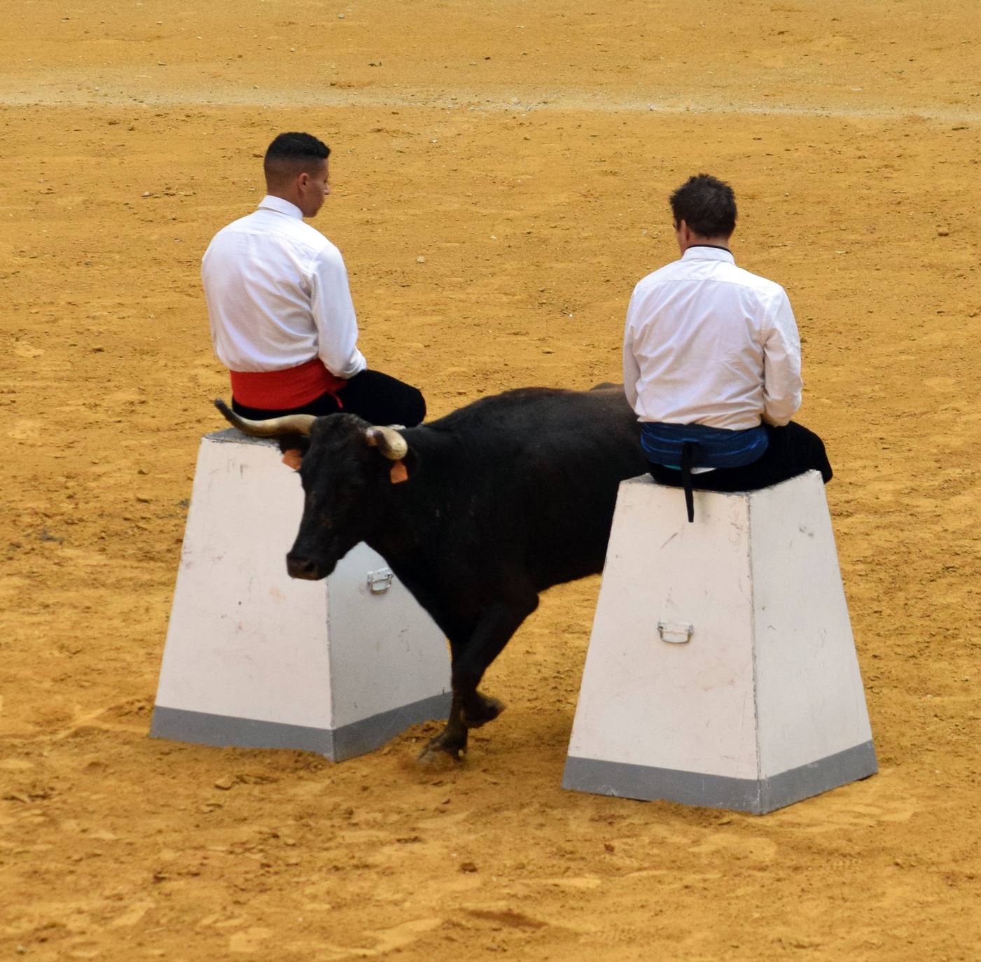 Fotos: Jueves de vaquillas en La Ribera