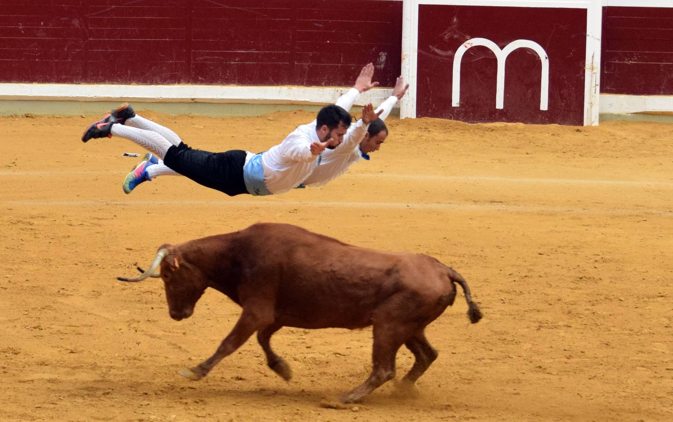 Fotos: Jueves de vaquillas en La Ribera